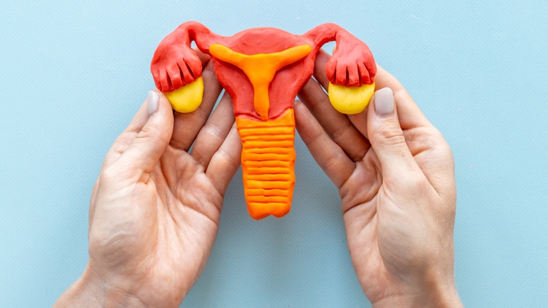 Bảo tồn khả năng sinh sản: Hy vọng cho phụ nữ mắc bệnh ung thư 4