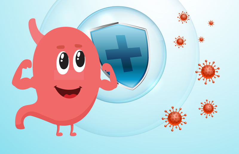 Bào tử lợi khuẩn Pregmom uống trước hay sau ăn? Công dụng của Pregmom? 2