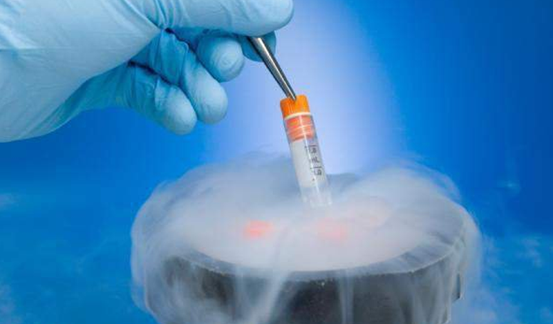 Ngân hàng tinh trùng giúp lưu trữ tinh trùng của trẻ trong một thời gian nhất định