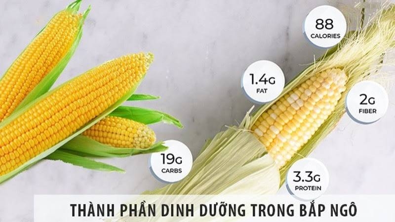 Thành phần dinh dưỡng của bắp