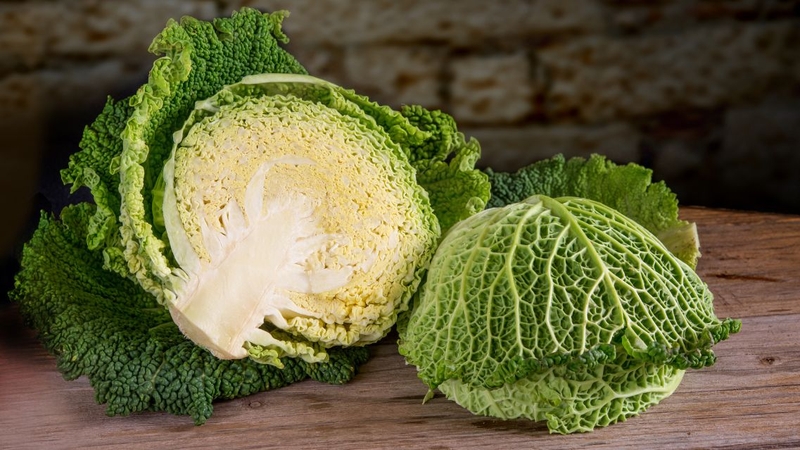 Bắp cải Savoy: Thành phần dinh dưỡng và lợi ích vàng cho sức khỏe 1
