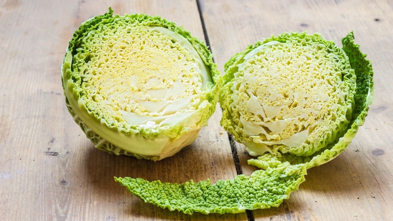 Bắp cải Savoy: Thành phần dinh dưỡng và lợi ích vàng cho sức khỏe 3