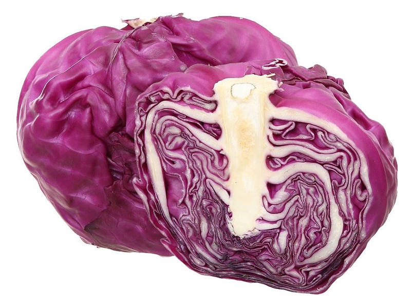 Bắp cải tím là loại cải bắp có màu tím đặc trưng