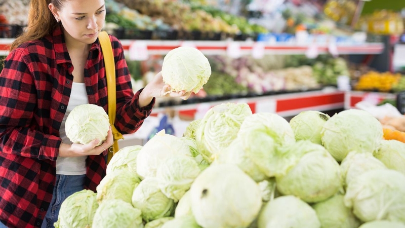 Bắp cải trắng: Thực phẩm giá rẻ nhưng giàu dinh dưỡng và tốt cho sức khỏe 4