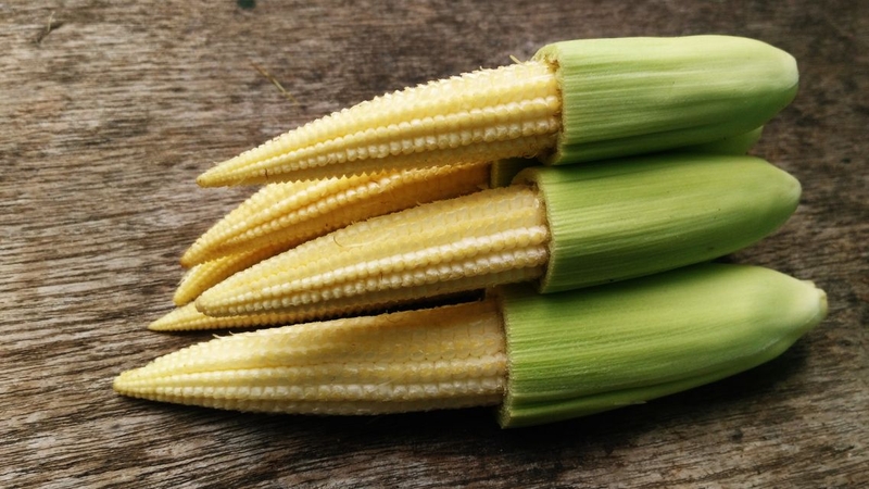 Bắp non là loại rau có giá trị dinh dưỡng cao và hương vị thơm ngon
