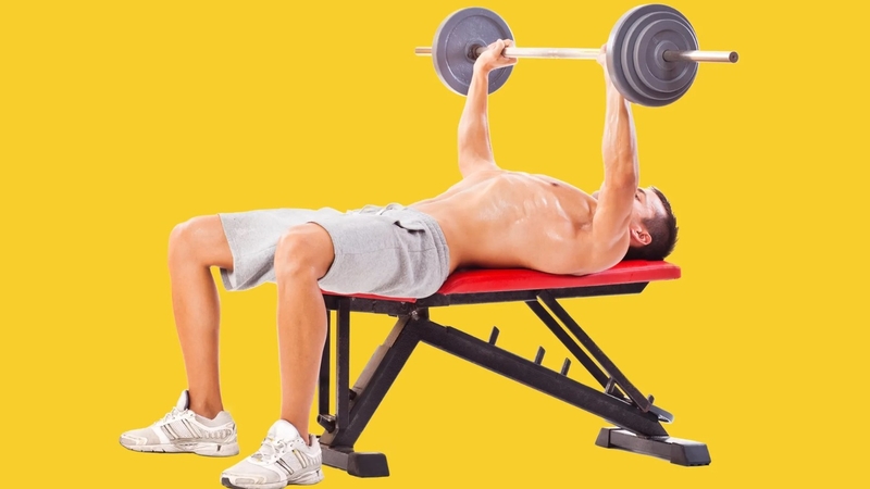 Barbell Bench Press là gì? Hướng dẫn cách tập Barbell Bench Press 1