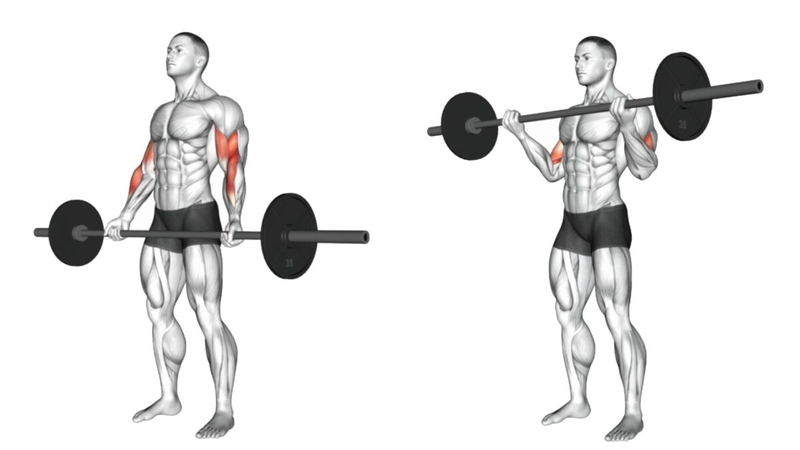 Barbell Curl là gì? Cách tập để bắp tay trước phát triển tốt nhất 3