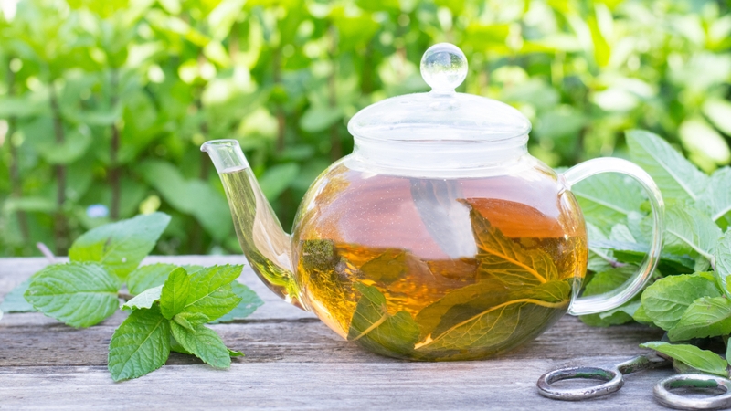 Bắt đầu ngày mới 5 loại trà thảo dược tốt cho sức khỏe 2
