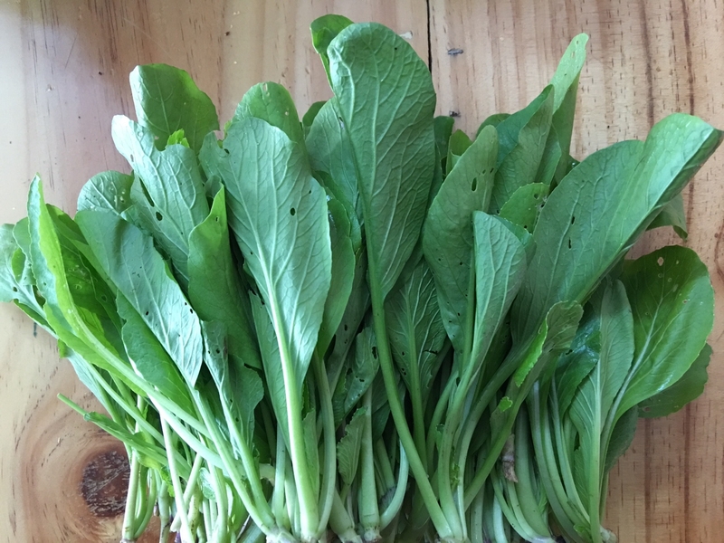 Bật mí 2 công thức nấu cháo lươn rau cải cho bé ăn dặm dễ làm 1