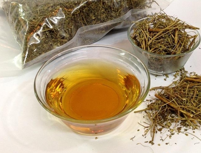 Bật mí 3 cách chữa viêm gan b bằng cây chó đẻ an toàn và hiệu quả 1