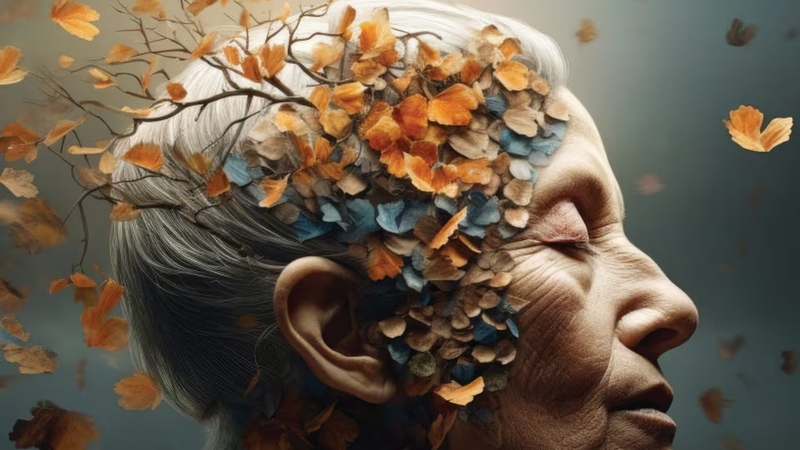 Bật mí 3 yếu tố nguy cơ cao gây ra chứng mất trí nhớ 4