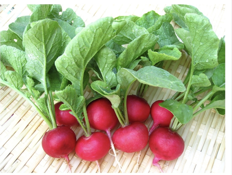 “Bật mí” 5 công dụng ít ai biết của củ dền đỏ với sức khỏe