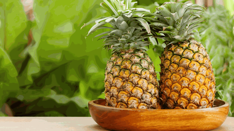 Bật mí 5 loại trái cây chứa nhiều vitamin C hơn cam 3