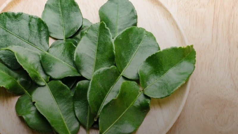 Bật mí 7 lợi ích từ của việc uống nước lá chanh 3