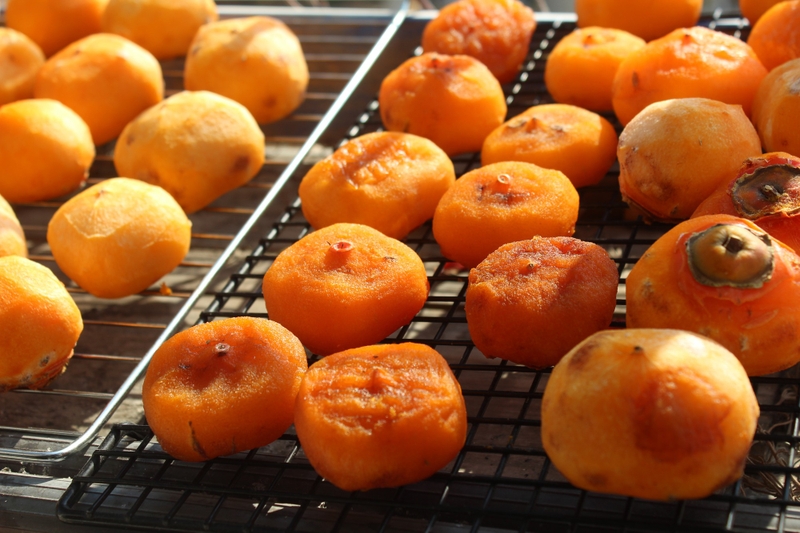 Bật mí bài thuốc trị bệnh từ quả hồng an toàn, hiệu quả 3