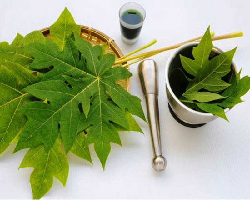 Bật mí: Các bài thuốc dân gian chữa bệnh xơ phổi 3