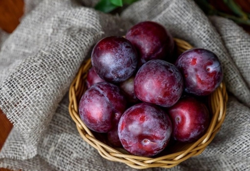 Bật mí các cách làm siro mận cho bé mà mẹ nào cũng nên biết 1