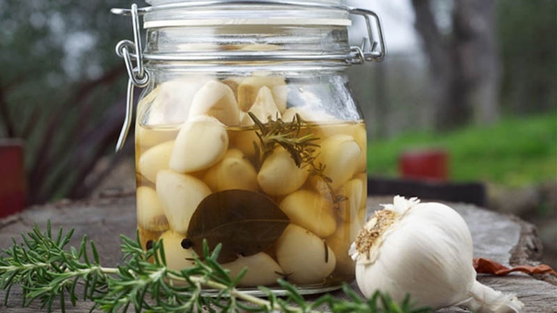 Bật mí các cách trị ho bằng tỏi và những điều cần lưu ý khi điều trị 3