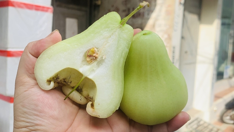 Bật mí các công dụng hiệu quả của mận xanh đường đối với sức khỏe 3