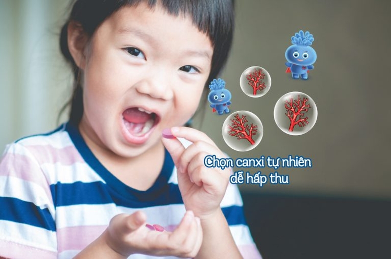 Bật mí cách bổ sung canxi cho trẻ mọc răng đúng chuẩn