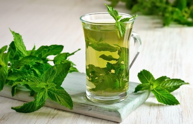 Cách chữa sâu răng hàm tại nhà bằng lá bạc hà