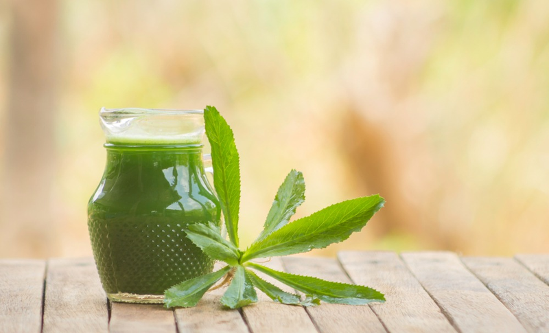 Bật mí cách sử dụng rau mùi tàu trị nám cực kỳ hiệu quả 2