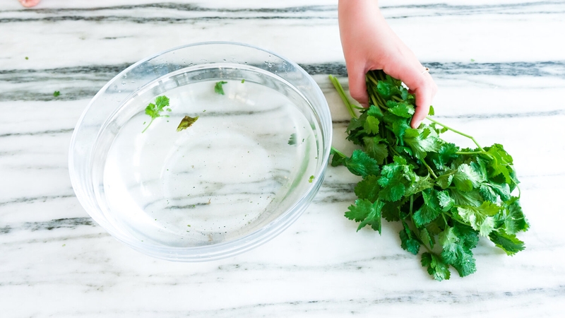 Bật mí cách trị mụn bằng rau mùi hiệu quả tại nhà 1