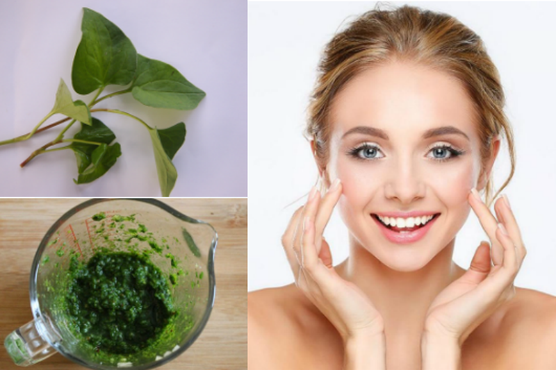 Bật mí cho bạn 3 cách trị nám bằng rau diếp cá đơn giản, hiệu quả1