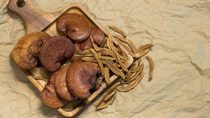 Bật mí một số bài thuốc từ nấm lim xanh hỗ trợ chữa bệnh 3