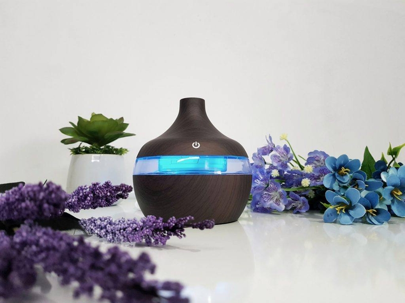 Bật mí những cách diệt ruồi giấm đơn giản và hiệu quả 3