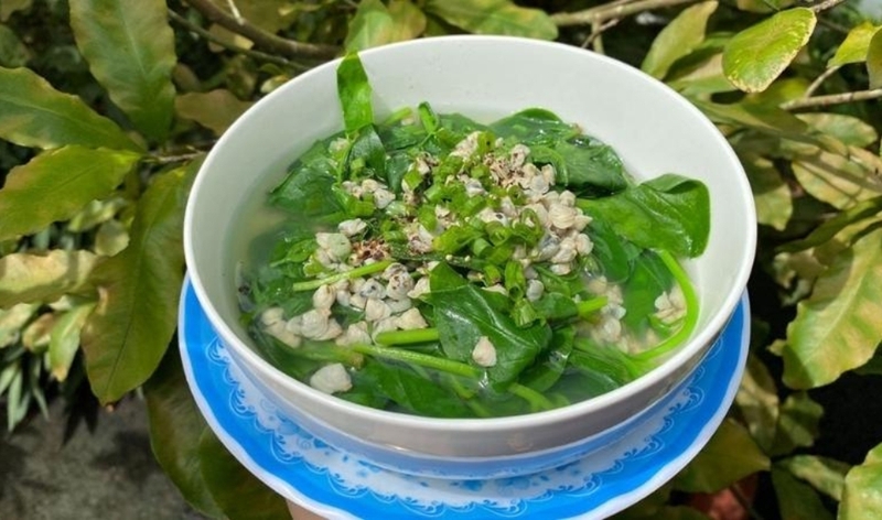 Bật mí những lợi ích của rau mồng tơi với bệnh tiểu đường 3