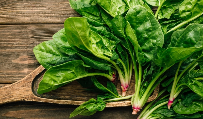 Bật mí những lợi ích của rau mồng tơi với bệnh tiểu đường 4