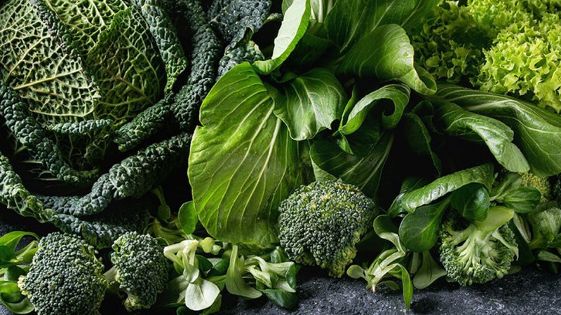 Bật mí những thực phẩm mát gan cải thiện chức năng gan hiệu quả 1