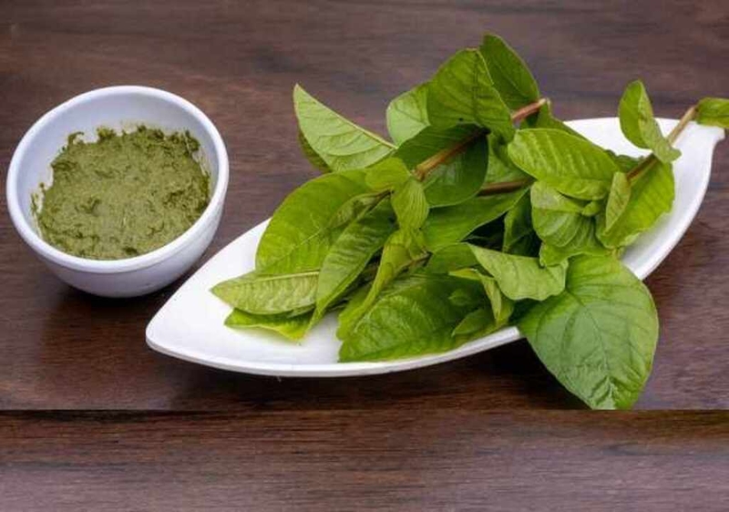 Bật mí tác dụng của bột lá ổi đối với sức khỏe 1