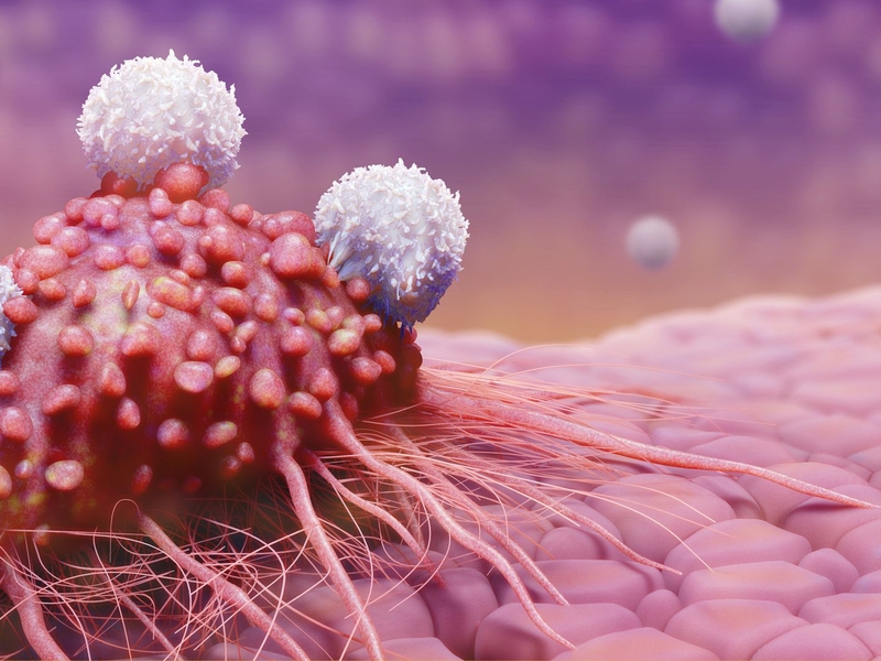 Bất ngờ trước mối liên quan giữa tiểu đường và bệnh ung thư 2