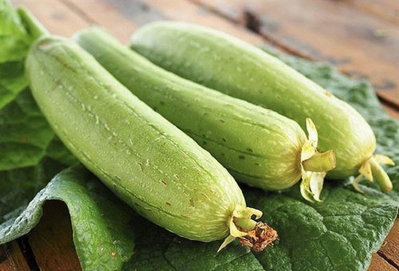 Bất ngờ với công dụng của mướp 1