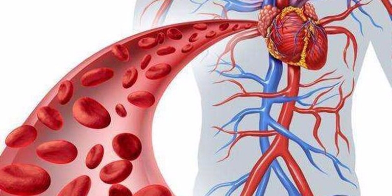 Bất ngờ với công dụng của mướp 2