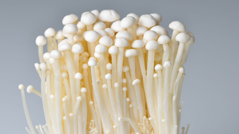 Nấm kim châm là nguồn cung tự nhiên của kali, kẽm, sắt, lysin, cùng nhiều vitamin nhóm B