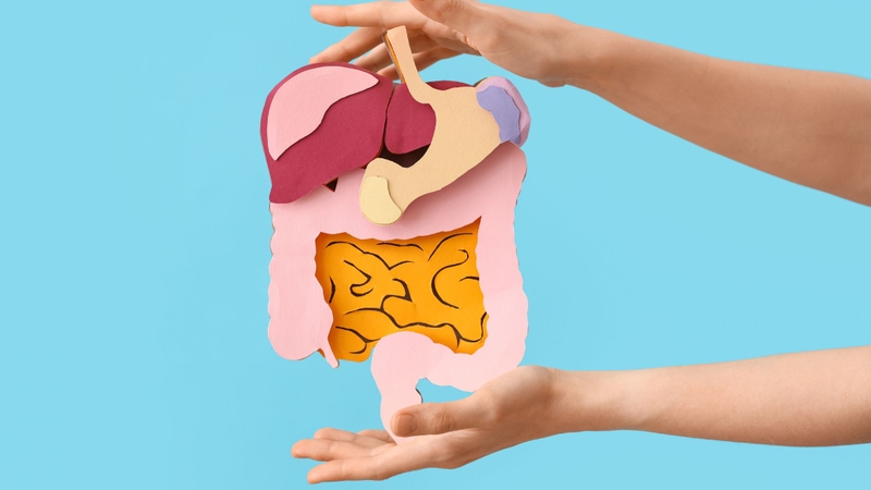 Nấm kim châm cung cấp lượng chất xơ hòa tan và không hòa tan dồi dào, giúp tăng cường hoạt động của nhu động ruột