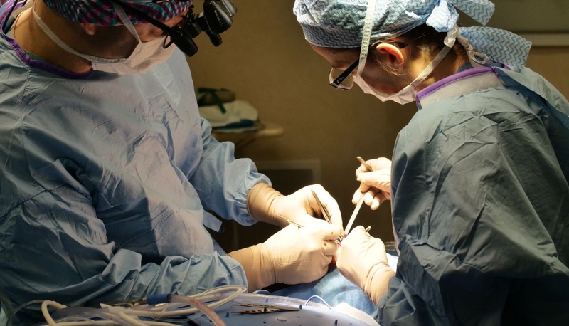 Bất sản xương mũi: Nguyên nhân, triệu chứng và cách điều trị hiệu quả 4