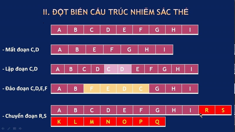 Một số loại đột biến cấu trúc nhiễm sắc thể thường gặp
