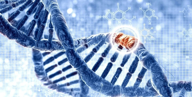 Bất thường nhiễm sắc thể số 22 gây ra những bệnh gì? 2