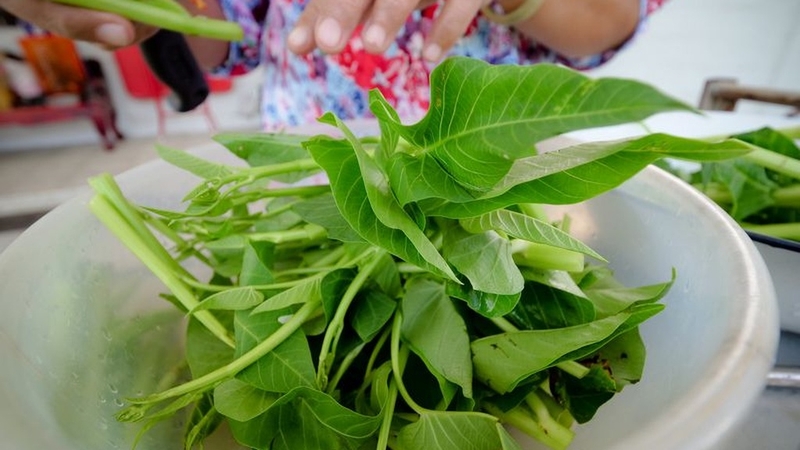 Bầu 3 tháng đầu ăn rau muống được không? Lợi ích và lưu ý khi sử dụng 4