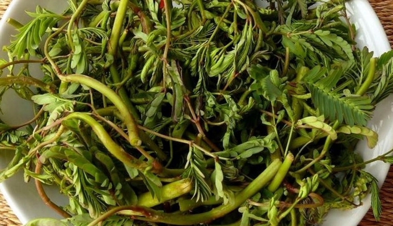 Bầu 3 tháng đầu ăn rau nhút được không? Lưu ý khi ăn rau nhút 2