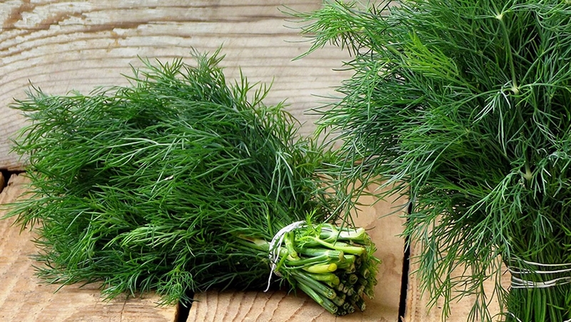 Bầu 3 tháng đầu ăn rau thì là được không? 1