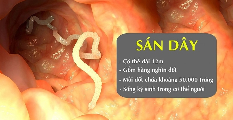 Bầu 3 tháng đầu ăn tiết canh được không - Đọc ngay! 1