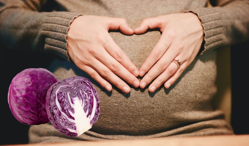 Bầu ăn bắp cải tím được không? Các món ăn từ bắp cải tím tốt cho mẹ bầu 1