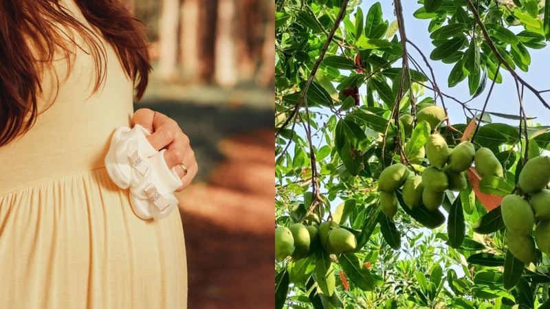 Bầu ăn cà na được không là nỗi băn khoăn của nhiều độc giả