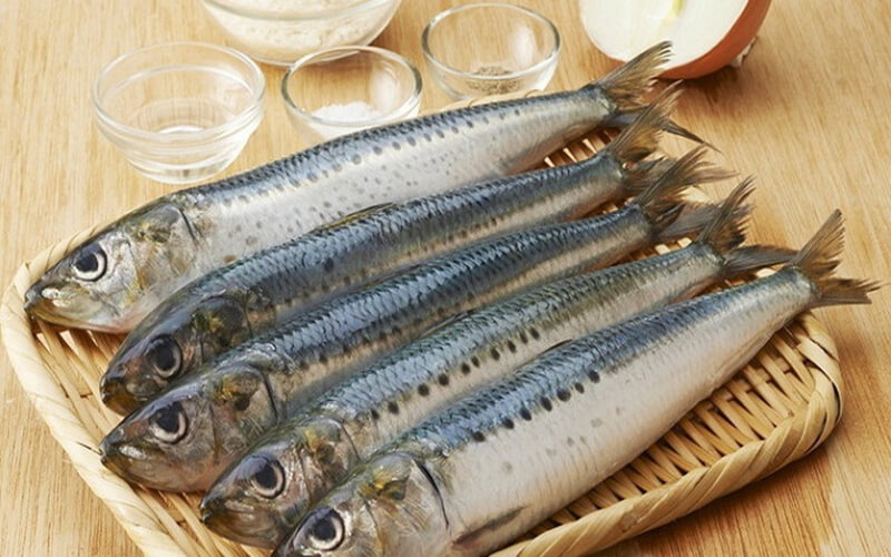 Bầu ăn cá nục được không? Giá trị dinh dưỡng của cá nục và cách chế biến cá nục cho mẹ bầu 1