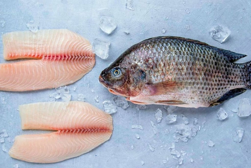 Bầu ăn cá rô phi được không? Những lợi ích và lưu ý quan trọng khi bầu ăn cá rô phi 2